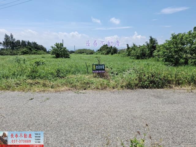 後龍農地-1