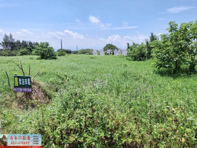 後龍農地-2