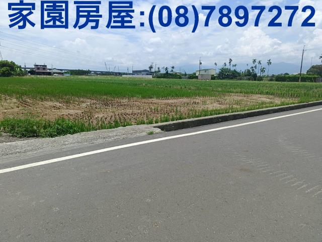 竹田農地-3