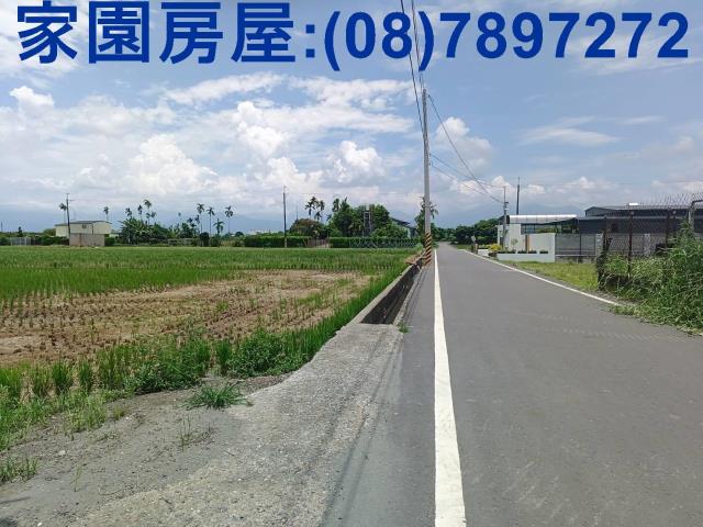 竹田農地-4