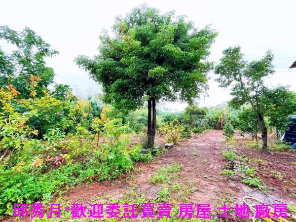 淡水都市計畫內-6