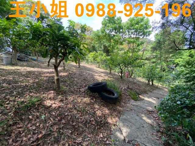 龜山農地-1