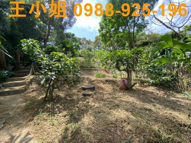 龜山農地-4