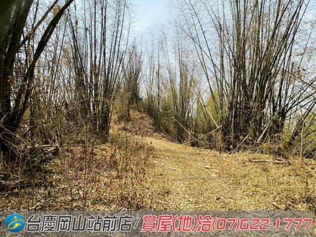 田寮農地-3
