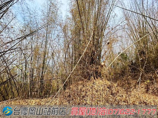 田寮農地-4