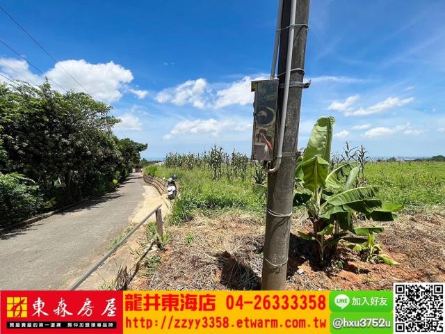 台中旱地-2