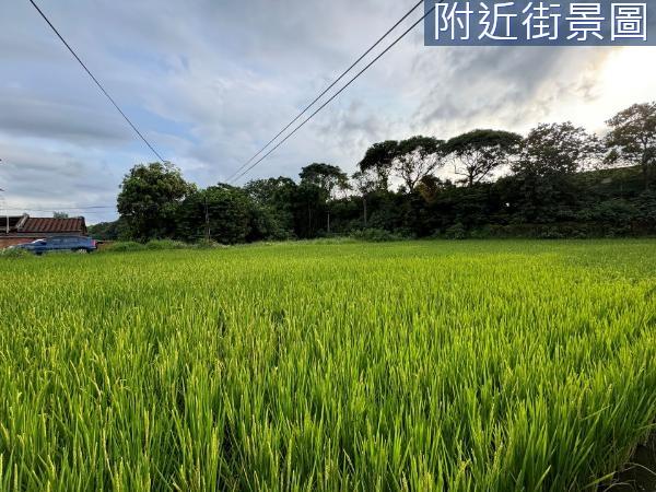 新竹東區農地-1