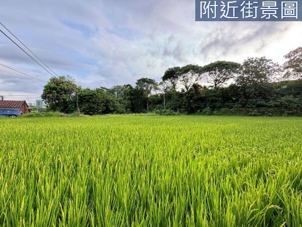 新竹東區農地-2