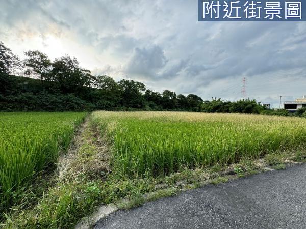 新竹東區農地-3