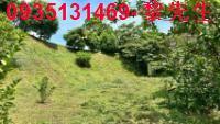 新竹北埔農地-5