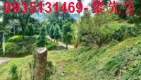 新竹北埔農地-9