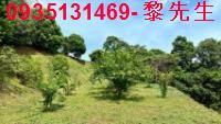 新竹北埔農地-2