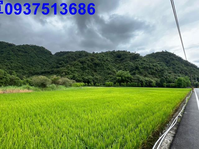 員山農地-10