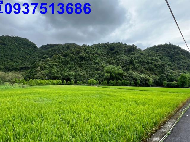 員山農地-8