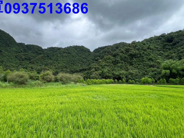 員山農地-4