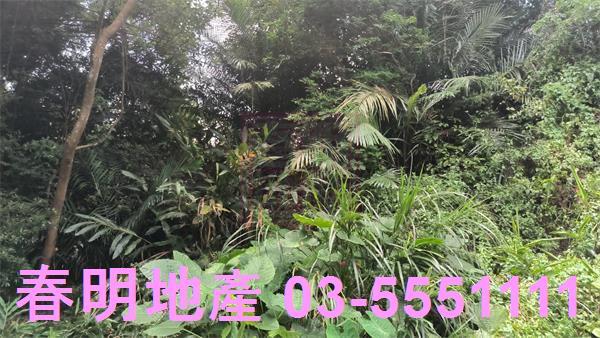 關西農地-5