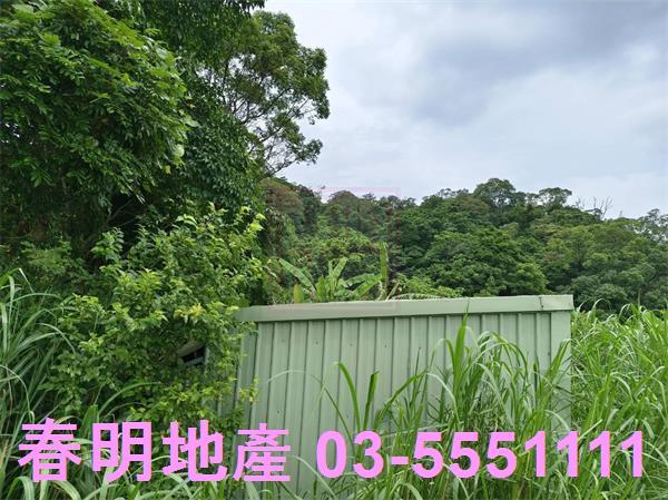 新竹橫山農地-12