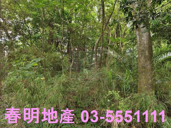 新竹橫山農地-3