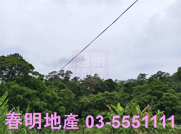 新竹橫山農地-4