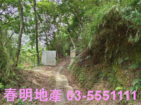 新竹橫山農地-5