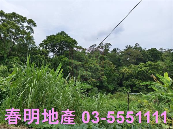 新竹橫山農地-8