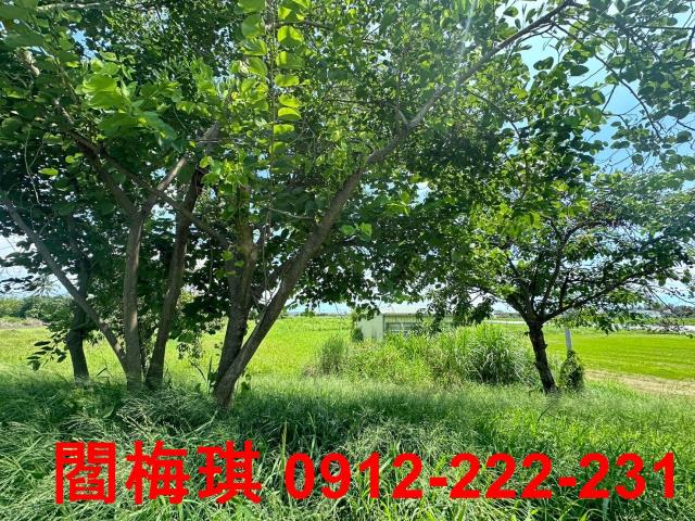 台南永康農地-3