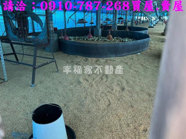 台南後壁農地-8