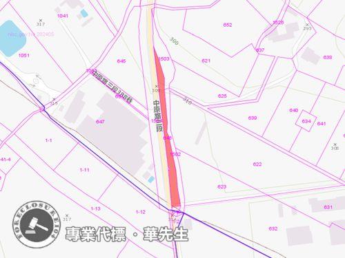 龍潭法拍農地-1