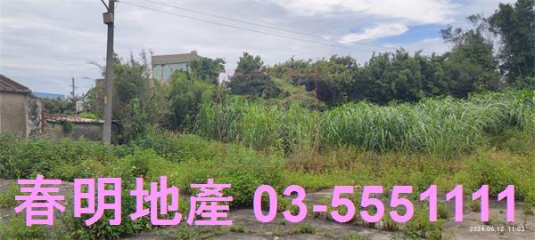 新豐農地-3