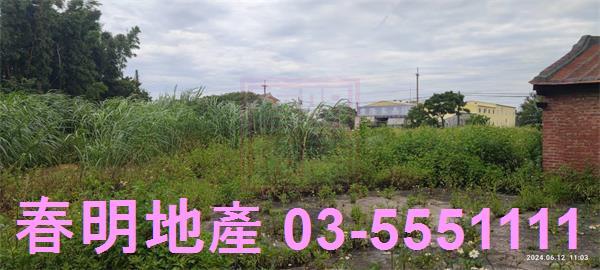 新豐農地-4