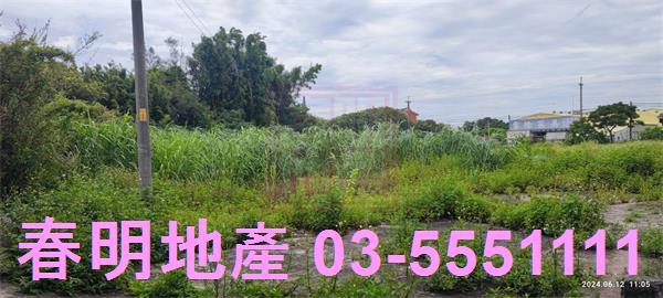 新豐農地-6