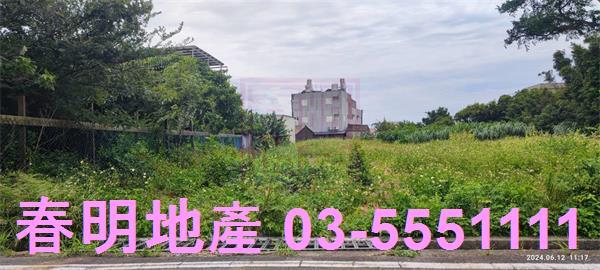 新豐農地-8