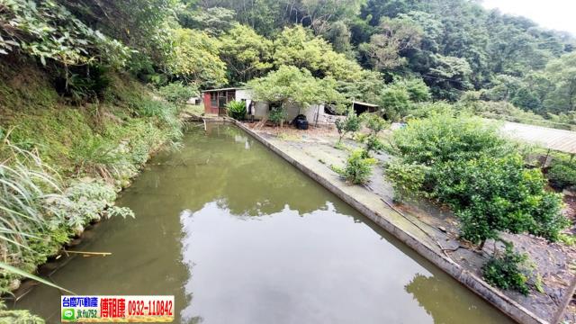 橫山農地-8