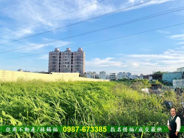 仁德農地-7