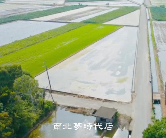 白河農地-2
