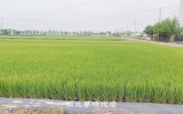 白河農地-5