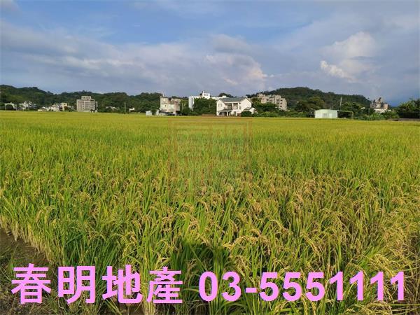 芎林農地-14