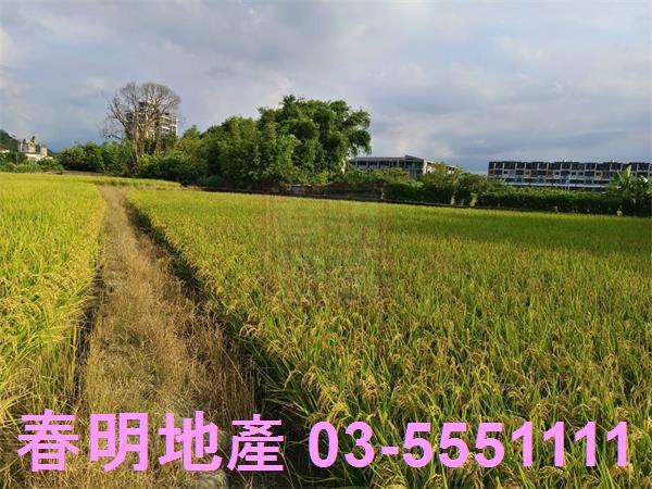 芎林農地-15
