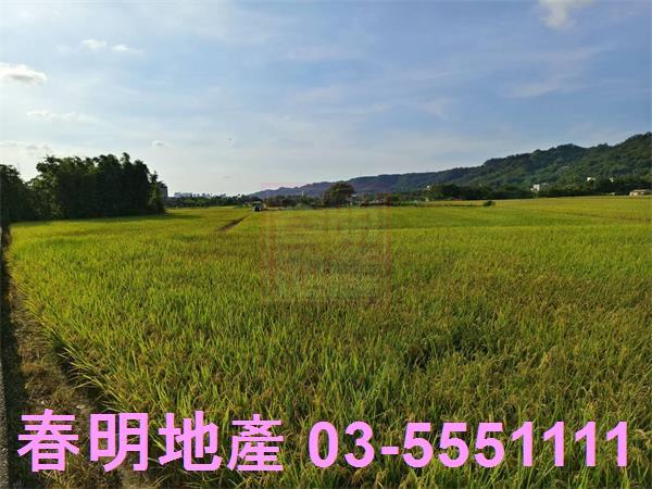 芎林農地-1