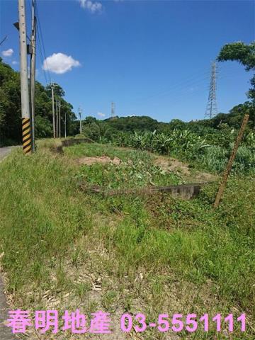 香山農地-11