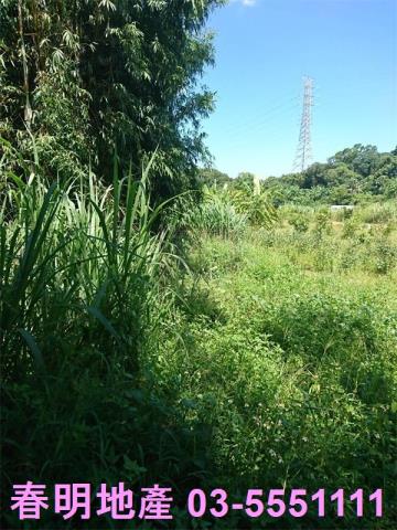 香山農地-2
