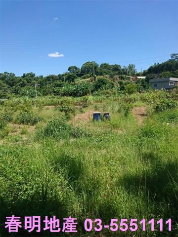 香山農地-4