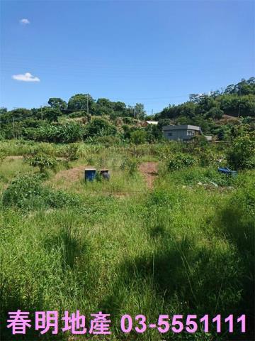 香山農地-7