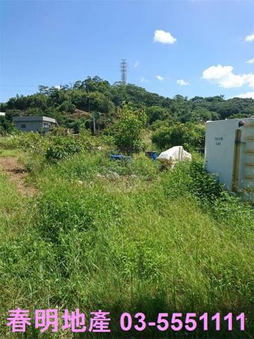 香山農地-9