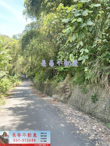 大湖林地-2
