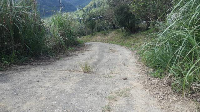 卓蘭山坡地-7