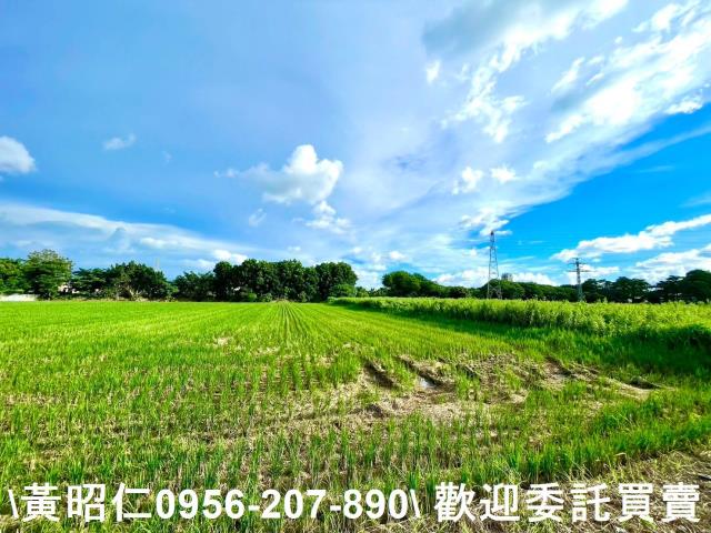 善化農地-5