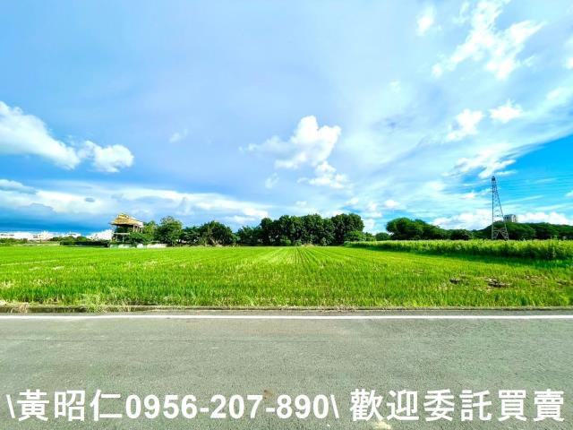 善化農地-1