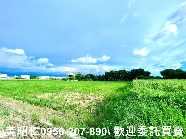 善化農地-7