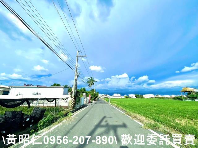 善化農地-8